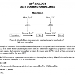 Ap biology unit 7 progress check frq