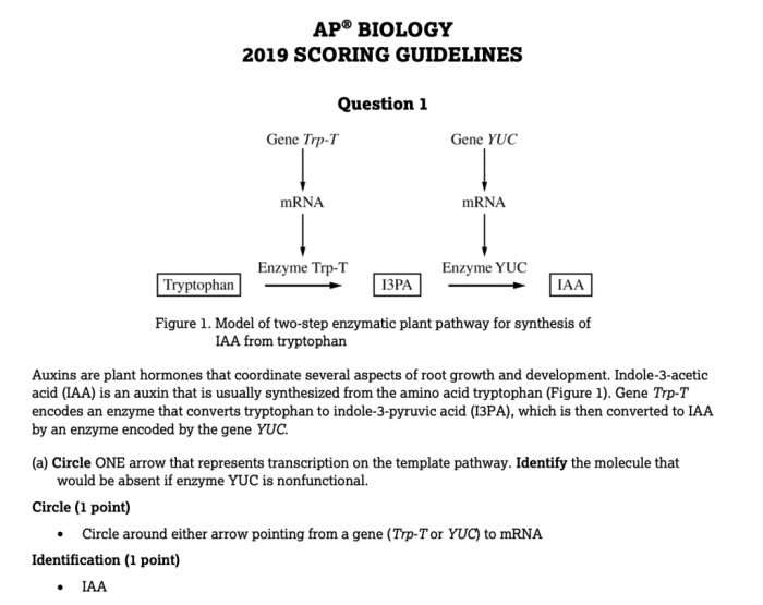 Ap biology unit 7 progress check frq