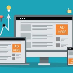 Google ads display assessment answers