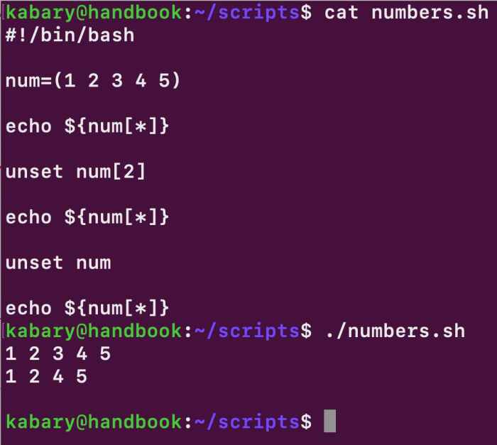 Bash scripting scripts work