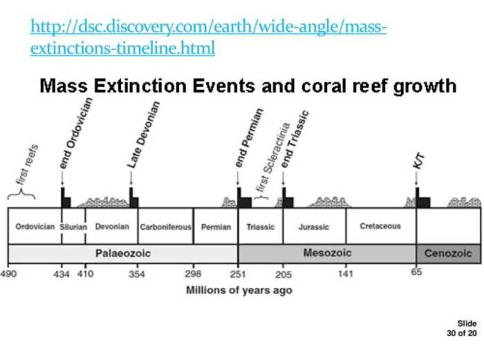 Mass extinction pogil answer key