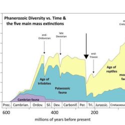 Mass extinction pogil answer key