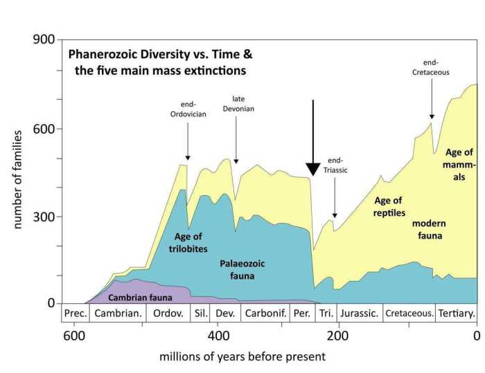 Mass extinction pogil answer key