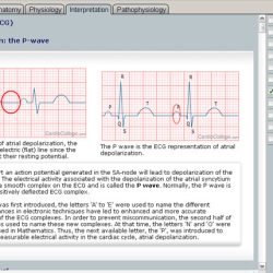 Apex innovations ecg test answers