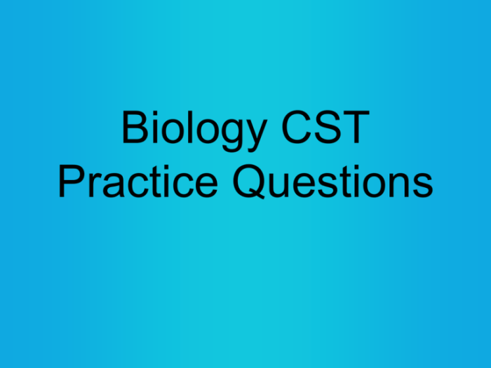 Cst students with disabilities practice questions