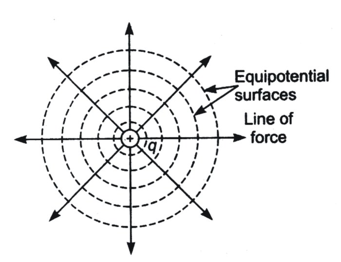 An equipotential surface that surrounds a point charge