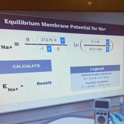 Donnan equilibrium gibbs potential membrane