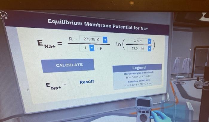 Donnan equilibrium gibbs potential membrane