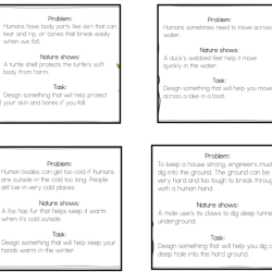 Digging deeper survival needs worksheet answers