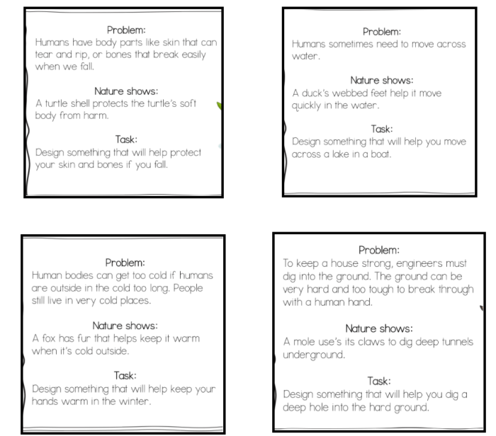 Digging deeper survival needs worksheet answers